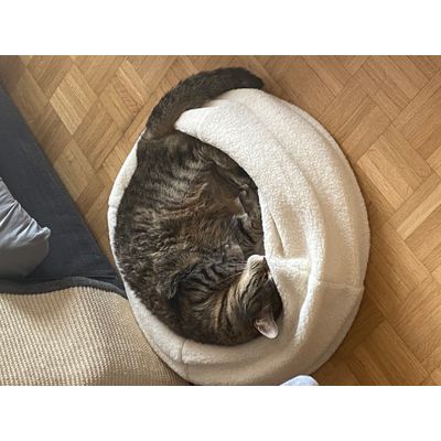 Flach aber bequem