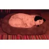BED Sleepy Frankie