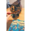This is coco and her Dreamies stick