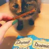 This is coco and her Dreamies stick