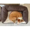 Conchiwonchi 10kg cama s