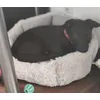 Kiki 