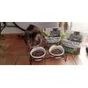 croquettes Perfect Fit poulet - dinde