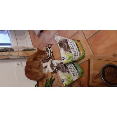 croquettes Poulet et dinde