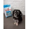 Een happy Stella 