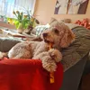 Hilde