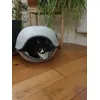 Great hidey-hole
