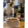 Lucky schmeckt es 
