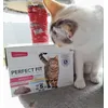 Perfect fit 