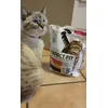 Praline et ses croquettes 