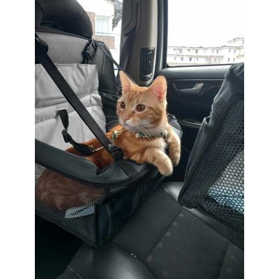 Elod is travelling