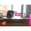 Kira 