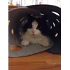The best tunnel