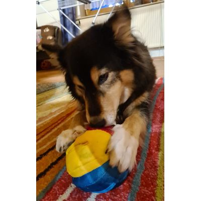 Snackball