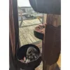 Betty loves it