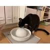 Oreo und der Brunnen