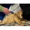 Furminator