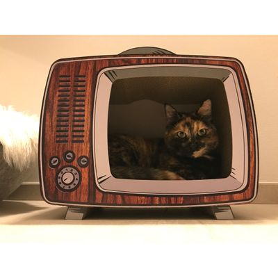 Amelie stars della tv
