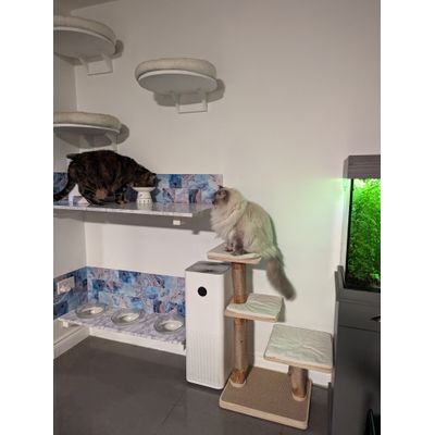 Perfect fit and nice quality