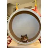 Tiaki 29cm 