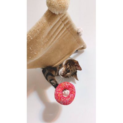 Donut