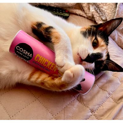 ZELDA PAZZA PER GLI SNACK