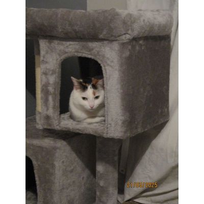 Lili
