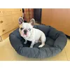 Cuscino taglia L
