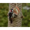 Schmeckt auch Herrn Buntspecht 