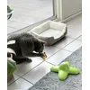 Ollie vermaakt zich met de Funny Butterfly