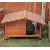 spike dog house 
