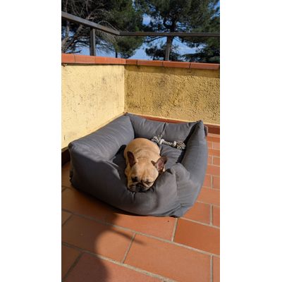 Testata subito con una bella dormita