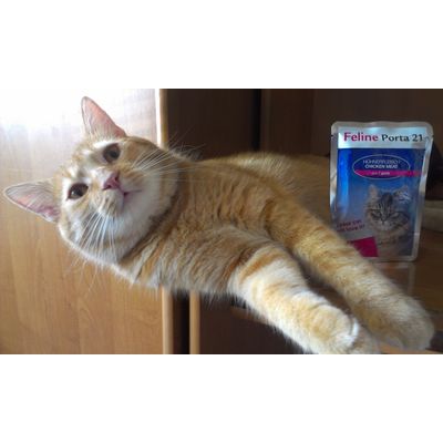 Porta and Leonard