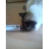 Sie liebt es