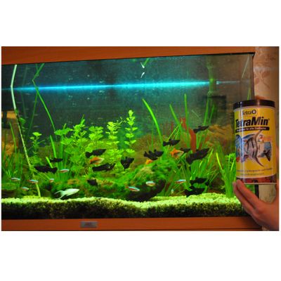 Meine Fische vergöttern TetraMin