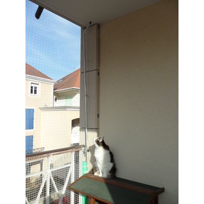 Figaro ist glücklich