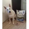 Der erwartungsvolle Blick sagt alles