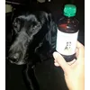 Muy buen sabor