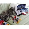 Comprando rocco chings double en zooplus