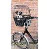 Jack in fietsmand 