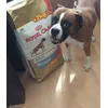 Happy for the arrival