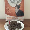 Outdoor Cats