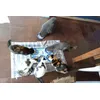 La Cats Family adore les Cosma Nature
