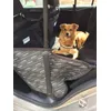 So macht Autofahren Spass
