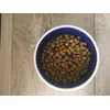 Royal canin renal 23