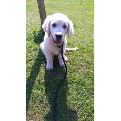 Riem voor Sam