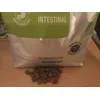 Intestinal 