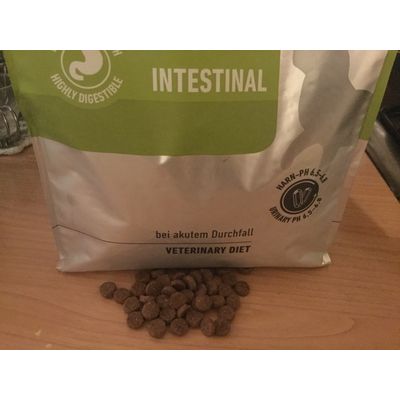 Intestinal