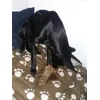 schmeckt 