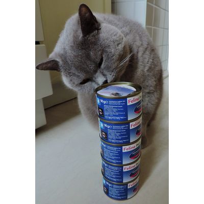 Zooplus nur das Beste